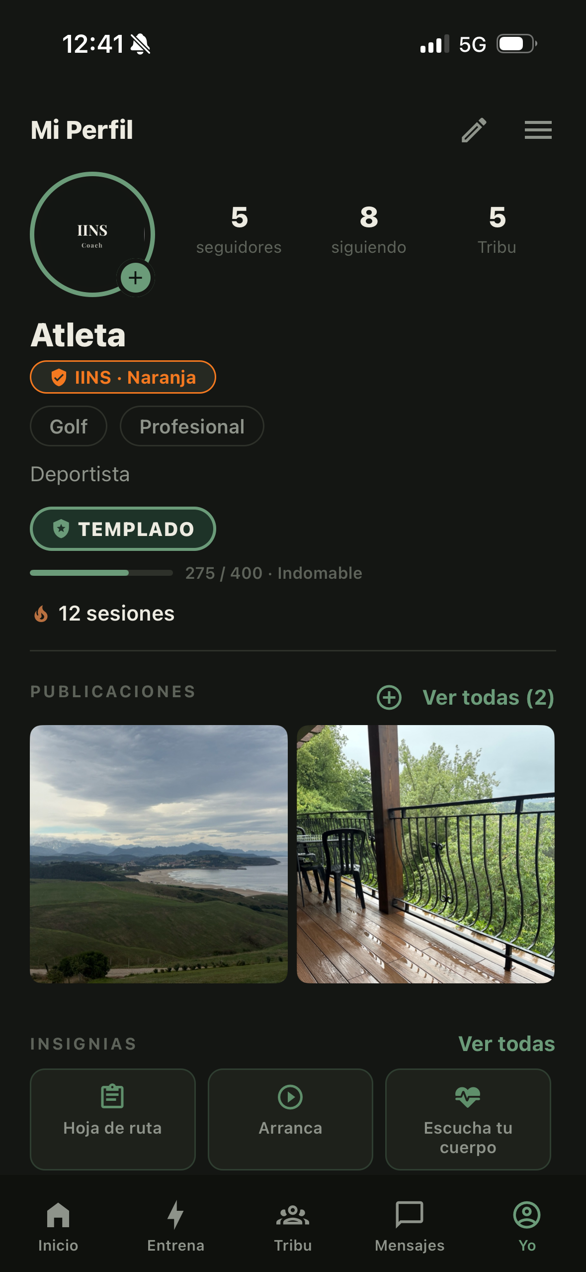 Perfil con el rango Templado, la barra hacia Indomable y las publicaciones